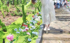 147女人的阴性部图片